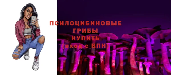 гашик Армянск