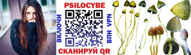 Галлюциногенные грибы мицелий  где найти наркотики  Рославль 